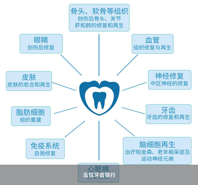 牙髓干细胞可以来源于哪里？临床应用如何？